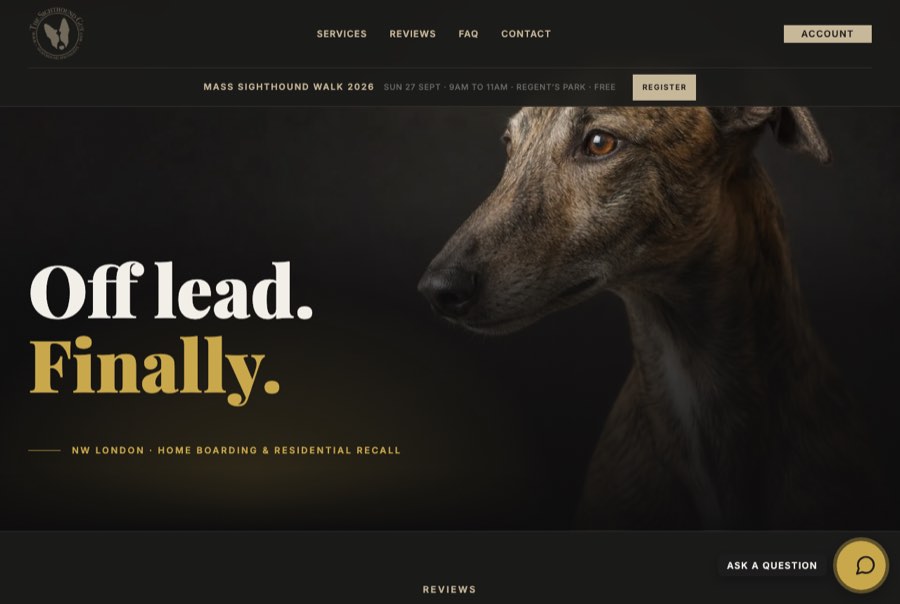 The Sighthound Guy